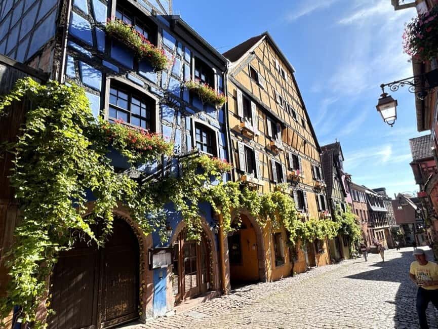 From Colmar: Private excursion to Alsace villages and wines with a local guide - The Itinerary Breakdown