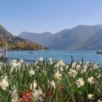 From Como: Bellagio and Lugano Tour with Lake Como Cruise - What Really Works Well