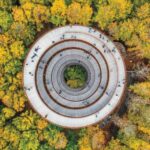 From Copenhagen: Round-Trip to Møns Klint and Forest Tower - The Itinerary Breakdown