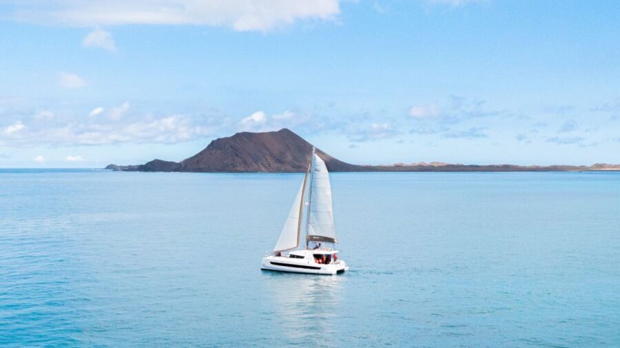 From Corralejo/Caleta de Fuste: Lobos Island Catamaran Trip - What to Expect on the Trip