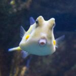 From Costa Brava: Barcelona Day Trip with Aquarium Visit - What Do the Reviews Say?