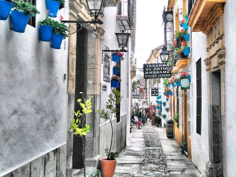 From Costa del Sol: Day Trip to Cordoba Free Time - The Free Time in Córdoba — What You Can Do