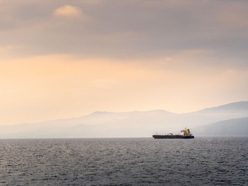 From Costa del Sol: Day Trip to Gibraltar with Guided Tour - What the Reviews Say