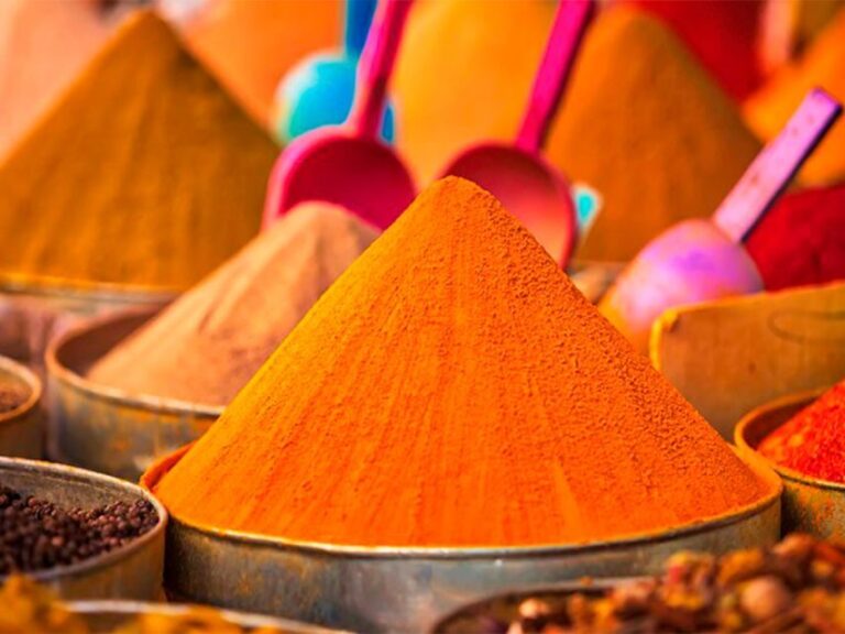 From Costa del Sol: Discover Tangier on a Guided Day Trip - The Value for Money