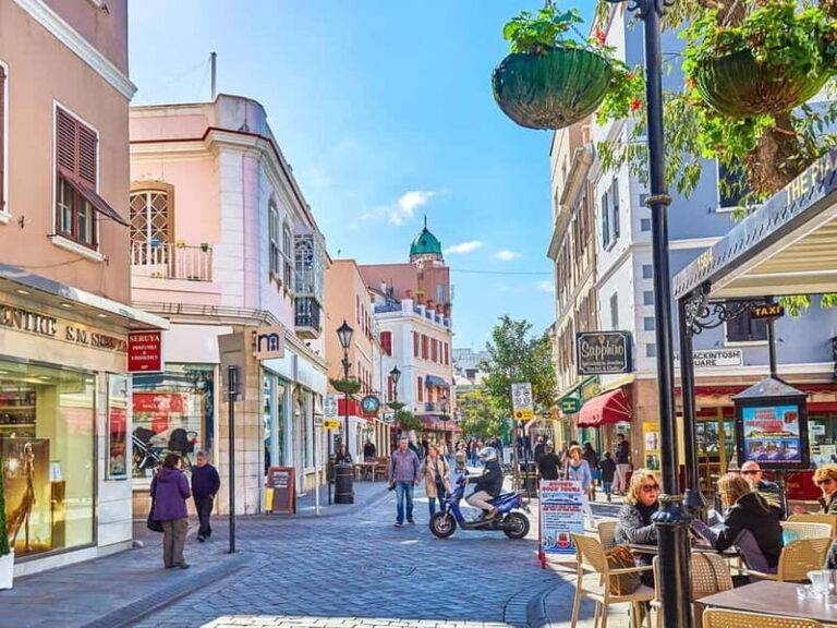From Costa del Sol: Gibraltar Day Trip with Free Time - The Pros and Cons: What You Should Know