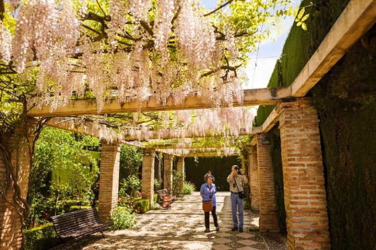 From Costa del Sol: Granada Full-Day Tour - Tour Options and What They Mean for You