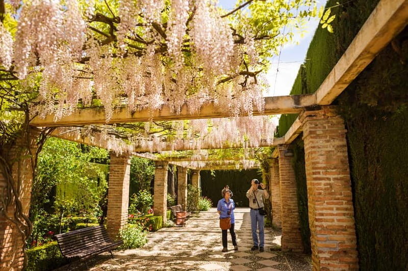 From Costa del Sol: Granada Full-Day Tour - Tour Options and What They Mean for You