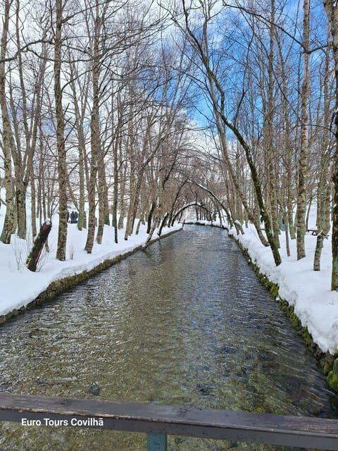 From Covilhã: Serra da Estrela Guided Tour with Lunch - Who Should Consider This Tour?