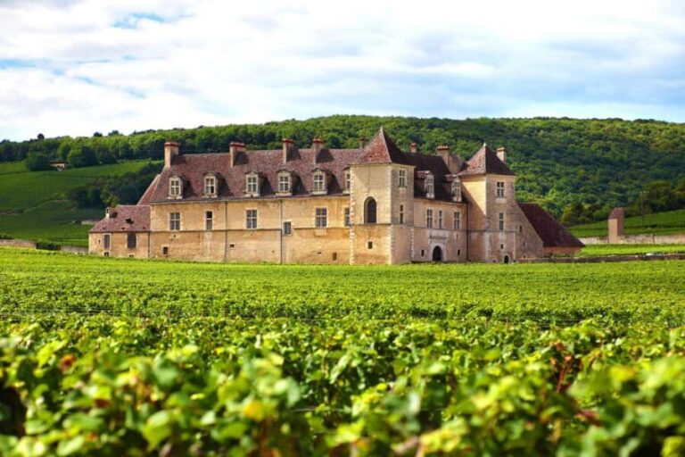 From Dijon: Côte de Nuits Wine-Tasting Tour - Winery Visits & Tastings
