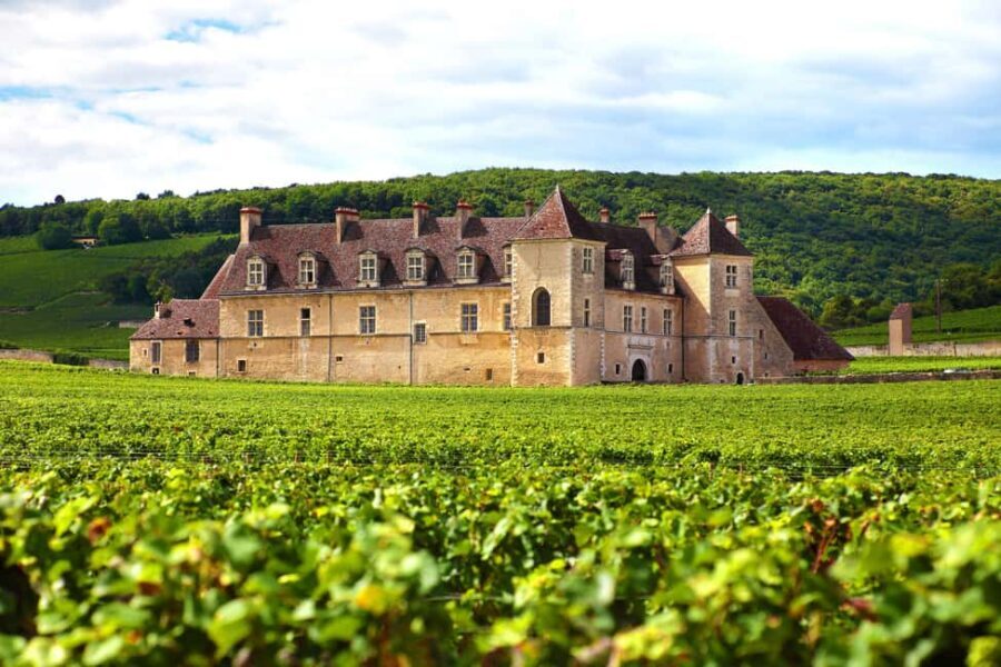 From Dijon: Côte de Nuits Wine-Tasting Tour - Winery Visits & Tastings