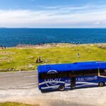 From Dublin: Cliffs of Moher, Boat Tour & Aillwee Cave - Final Thoughts: Who Is This Tour Best For?