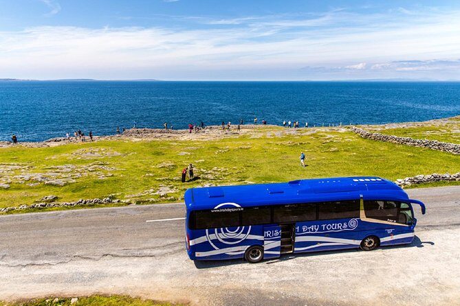 From Dublin: Cliffs of Moher, Boat Tour & Aillwee Cave - Final Thoughts: Who Is This Tour Best For?