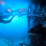 From Dubrovnik/Cavtat: Blue Cave, Sunj Beach Speed Boat Tour - What’s Included and What’s Not