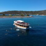 From Dubrovnik: Elaphite Islands Day Trip with Lunch - What We Think About the Tour