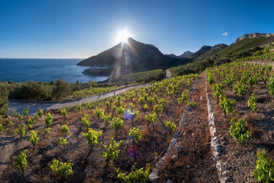 From Dubrovnik: Private Peljeac Wine Region and Ston Tour - What’s Included and What’s Not