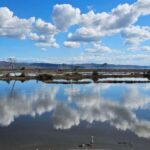 From Durrës: Divjakë-Karavasta National Park Day Trip - Final Thoughts