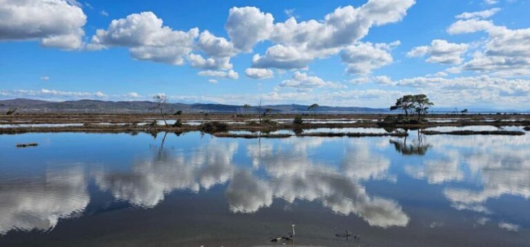 From Durrës: Divjakë-Karavasta National Park Day Trip - Final Thoughts