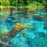 From Durrës or Golem: Ksamil, Saranda and Blue Eye Tour - What’s Included and What’s Not