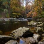 From Edinburgh: Best of Scotland Small-Group Day Tour - How the Tour Works