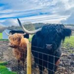 From Edinburgh: Loch Ness, Glencoe & The Highlands Day Trip - What’s Included and Practical Tips