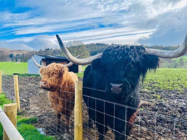 From Edinburgh: Loch Ness, Glencoe & The Highlands Day Trip - What’s Included and Practical Tips