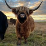 From Edinburgh: The Kelpies, Glencoe & Loch Lomond Day Tour - What Travelers Say and What It Means for You