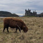 From Edinburgh: West Highlands Luxury Private Day Tour - The Transport and Comfort Level