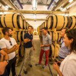 From Epernay Full day Electric bike Champagne and lunch - The Real Benefits and Considerations