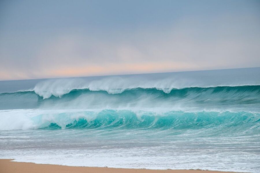 From Evora: Horseback riding on comporta beach - What to Expect and What to Keep in Mind
