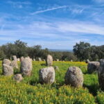 From Evora: Prehistoric Monuments and City Tour - The Balance of Value and Experience