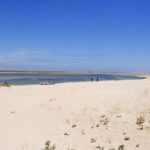 From Faro: 2-Hour Guided Bird Watching Boat Trip - Who Will Love This Tour?