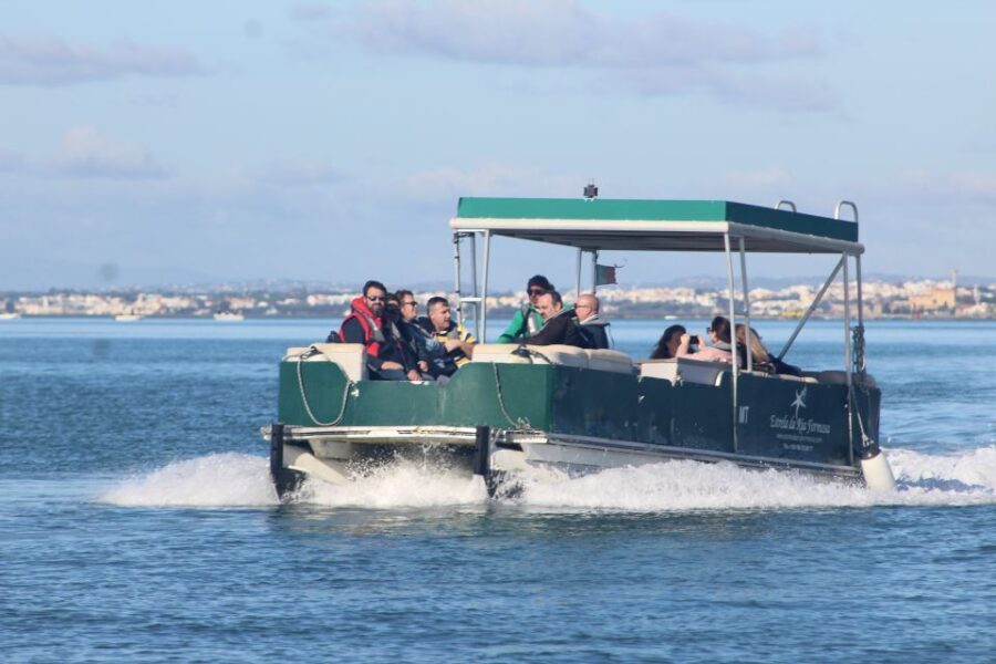 From Faro: 4 Stops, 3 Islands in Ria Formosa Catamaran Tour - The Experience: What It Feels Like