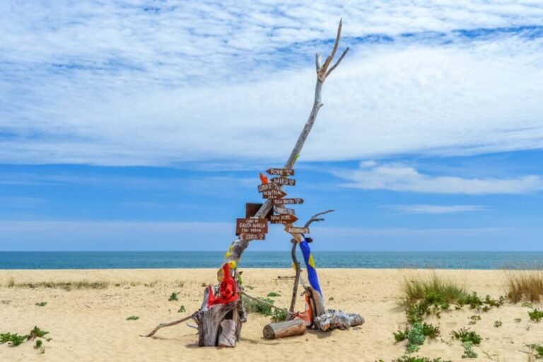 From Faro: Ria Formosa Eco Tour guided by Marine Biologist - What Really Makes This Tour Special