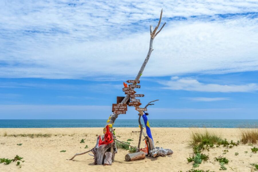 From Faro: Ria Formosa Eco Tour guided by Marine Biologist - What Really Makes This Tour Special