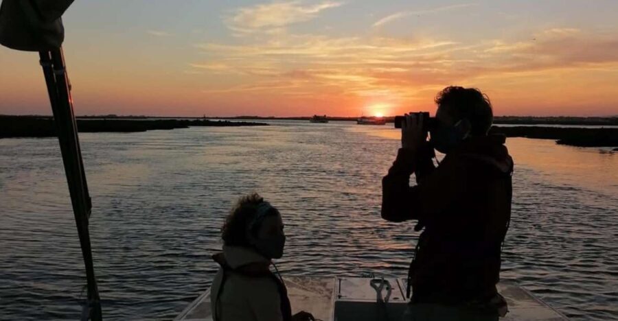 From Faro: Ria Formosa Sunset Boat Trip - Key Points