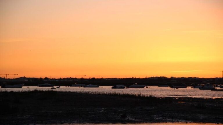 From Faro: Ria Formosa Sunset Boat Trip - What Youll See and Experience