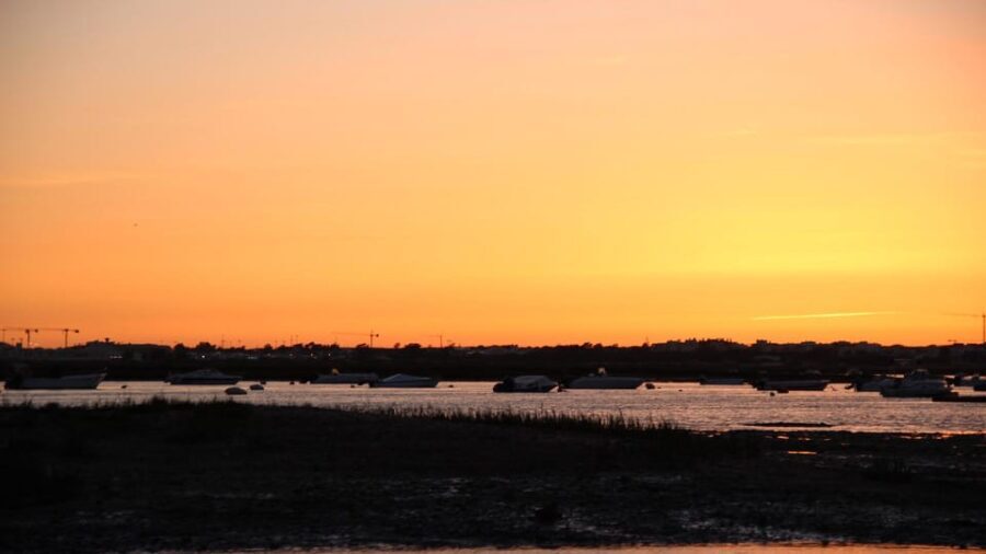 From Faro: Ria Formosa Sunset Boat Trip - What Youll See and Experience