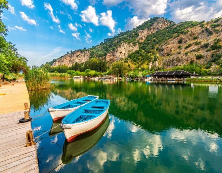 From Fethiye: Dalyan Day Trip with Mud Bath and Turtle Beach - The Overall Experience