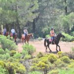From Fethiye: Horse Riding Adventure - What Makes This Tour Stand Out?