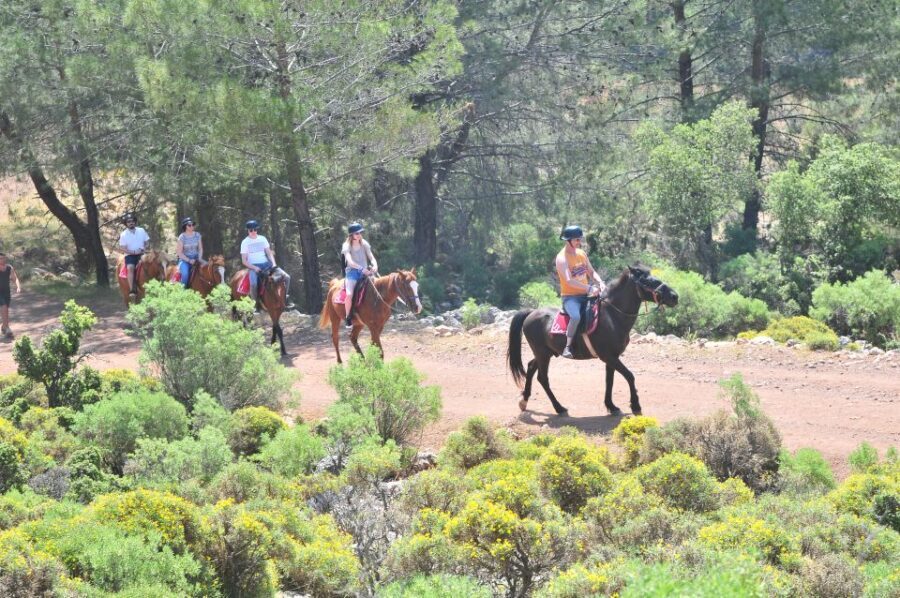 From Fethiye: Horse Riding Adventure - What Makes This Tour Stand Out?