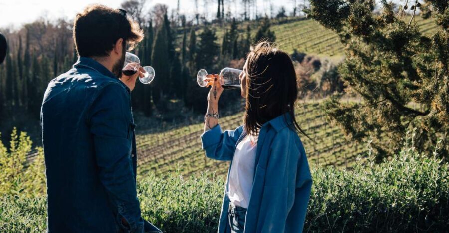 From Florence: Chianti Hills Half-Day Tour with Wine Tasting - Final Thoughts