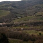 From Florence: Chianti Hills Wineries Tour with Tasting - The Value of the Tour