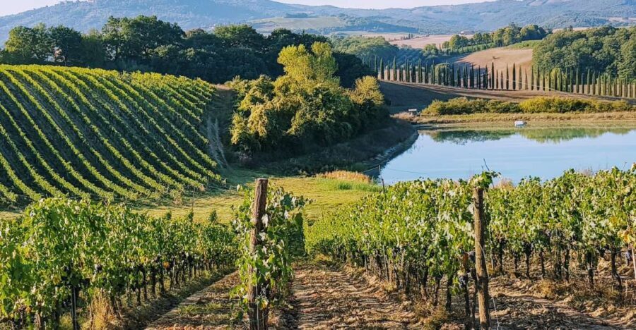 From Florence: Chianti Wine Tastings at Sunset Day Trip - The Itinerary – What to Expect