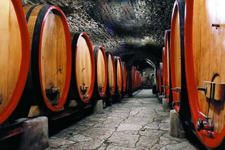 From Florence: Chianti Wine Tour with Driver-Guide - Exploring Montefioralle and Greve in Chianti