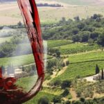 From Florence: Private Montalcino & Montepulciano Wine Tour - The Value of the Experience