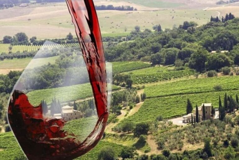 From Florence: Private Montalcino & Montepulciano Wine Tour - The Value of the Experience