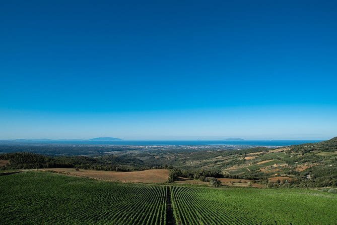 From Florence PRIVATE:Bolgheri Wine Tour,tasting among the Tuscany coastal hills - What Makes This Tour Stand Out?