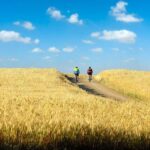 From Florence: Tuscany by Bike with Lunch and Wine Tasting - Who Is This Tour Best For?