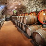 From Florence: Tuscany Wine & Food Tour with Guide - The Experience – What Travelers Are Saying
