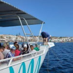 From Fornells: North Coast Beaches Cruise with Swim Stops - The Experience: A Balance of Relaxation and Adventure